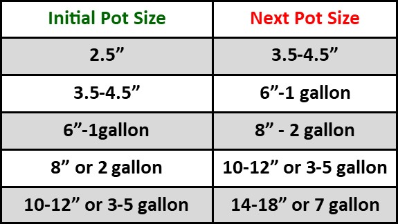 Plant Container or Pot Size Selection Chart for Uppotting or Repotting Plants